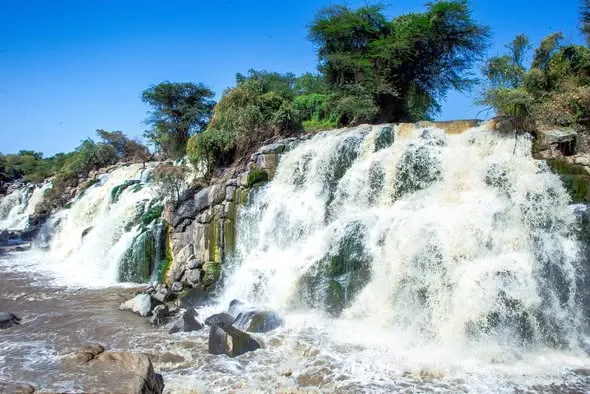 Awash National Park