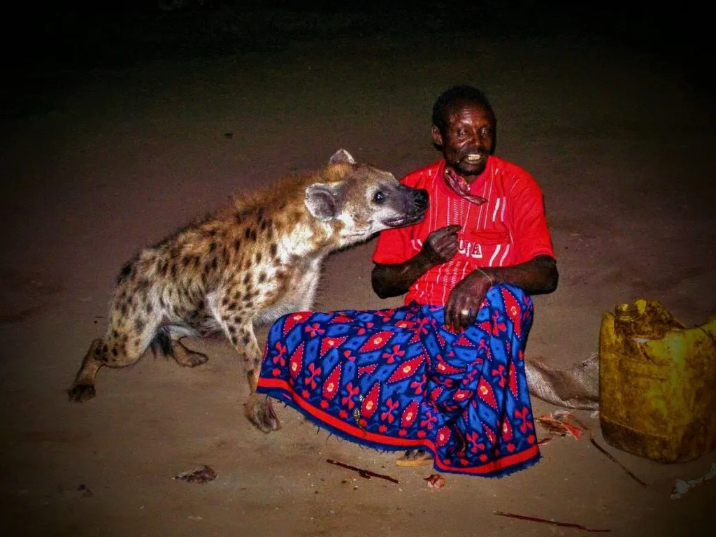 Harar Cultural Immersion - Image 3