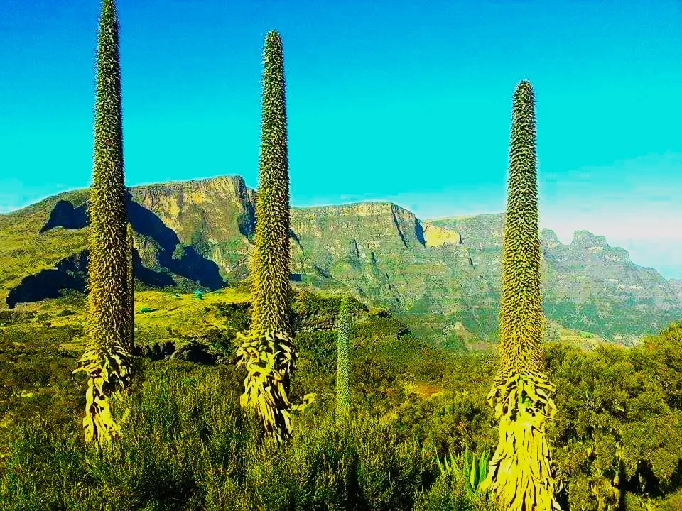 Simien Mountains Trekking - Image 2